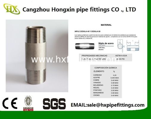 Chinese manufacturer of Stainless Steel Flat Union F/F DIN/BSPT